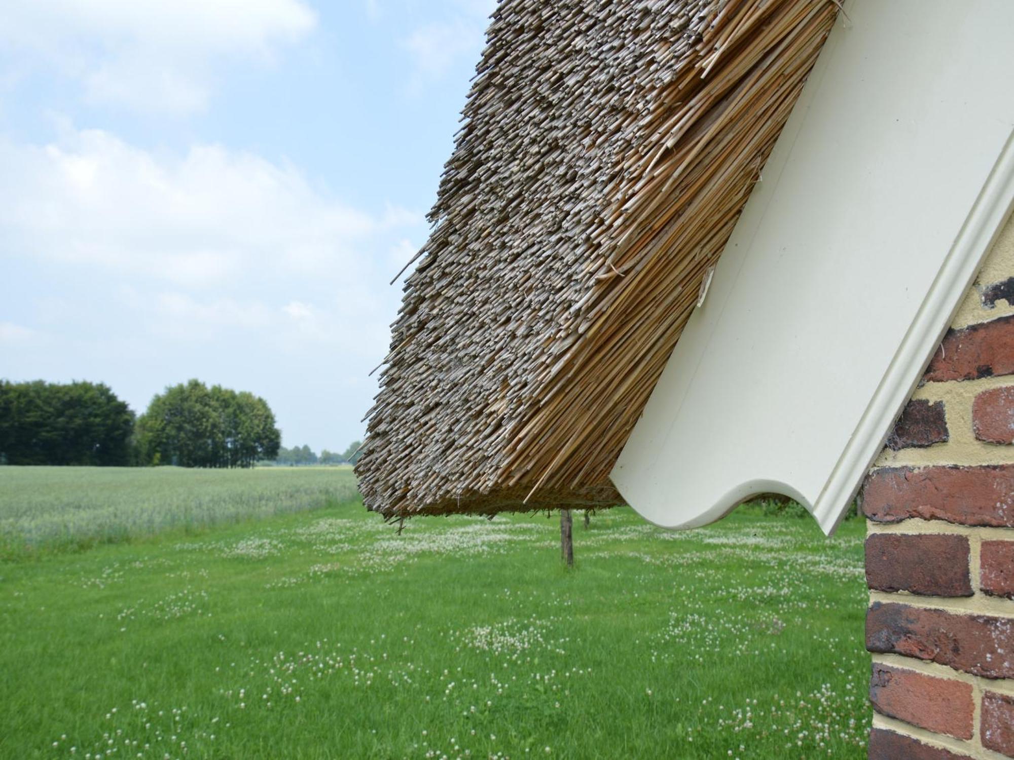 Quaint Farmhouse In Geesteren With Meadow View 외부 사진