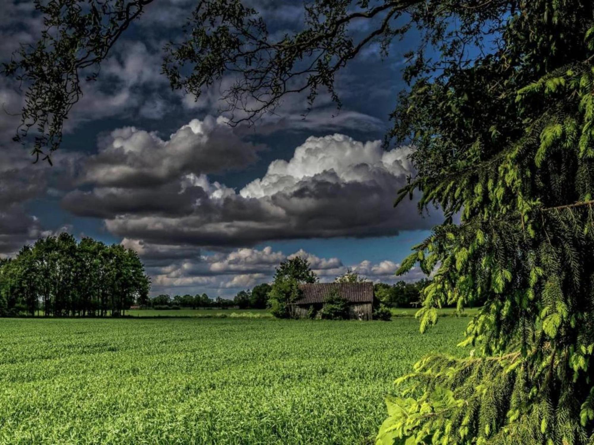 Quaint Farmhouse In Geesteren With Meadow View 외부 사진